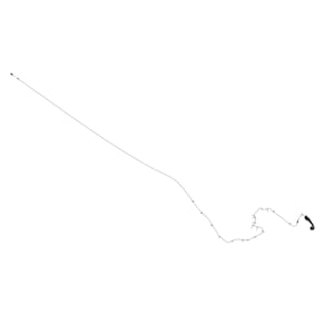 Image of BCC10676