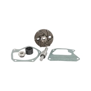 Pump Repair Kit