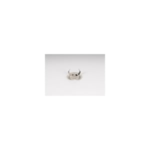 Image of 24205899