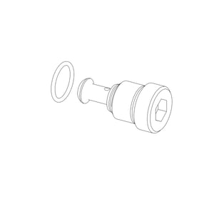Check Valve