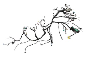Image of 23249487