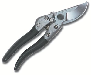 Image of pp70