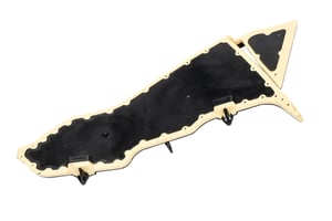 Image of 23156967