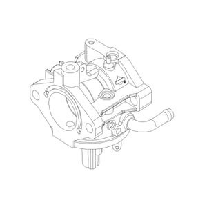 Image of AUC11317