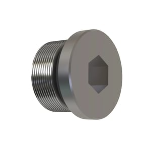 Fitting Plug