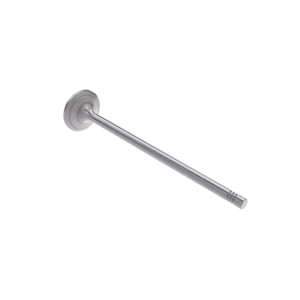 Intake Valve