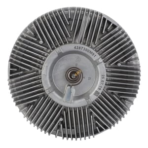 Image of 4287299M1