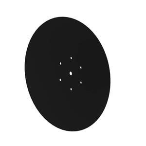 Disk