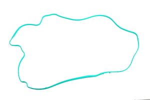 Image of 12613457