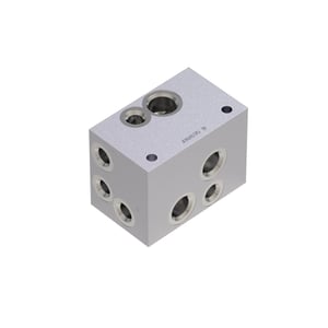 Manifold