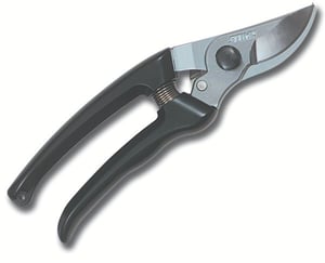 Image of pp30