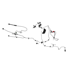 Image of AUC13459