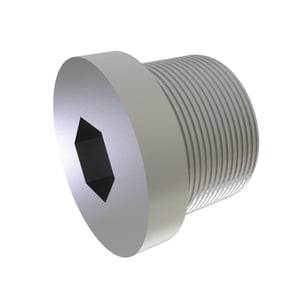 Fitting Plug