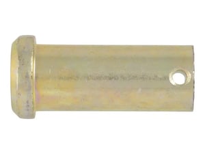 PINCLEVIS (CODED),FLAT HEAD
