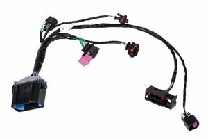 Image of 23299689