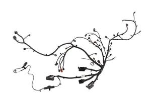 Image of 42774331