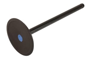 Image of 12629513