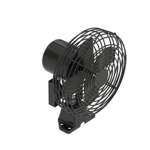 Fan