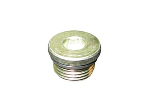 PLUG, PIPE MAGNETIC "O"RING