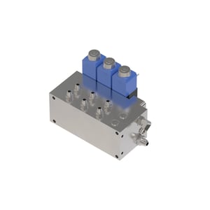 Manifold