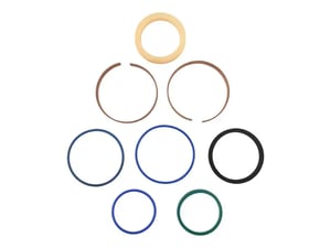Image of HSJCB-991-00161