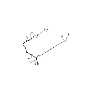 Image of AUC15838