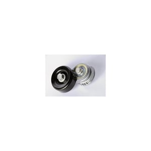 Image of 12595289