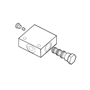 Manifold