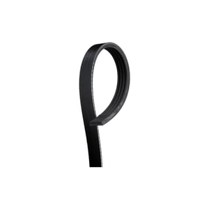 Image of 12576447