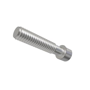Screw