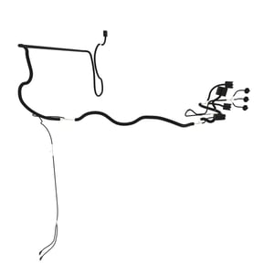 Image of AN372133