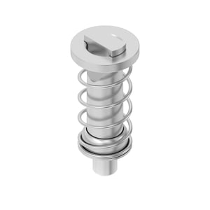 Screw