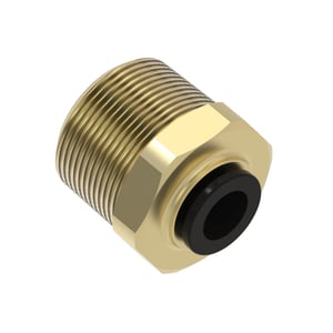 Image of AN303710