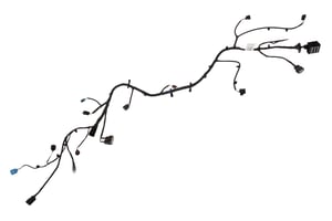 Image of 42559512