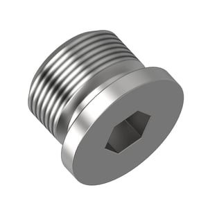Fitting Plug