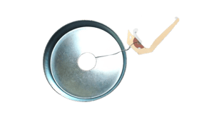 Image of 50068520
