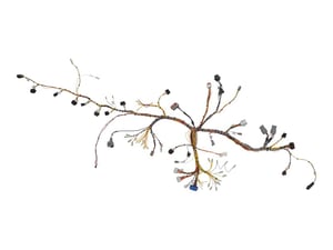 Image of 1001266628