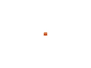 Image of 1757250030