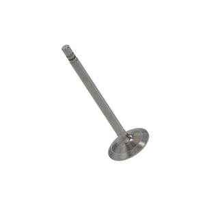 Intake Valve