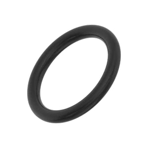 CH10570: O-Ring