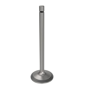 Intake Valve