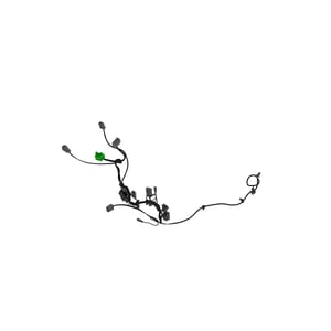 Image of AUC12077
