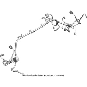 Image of 42723698