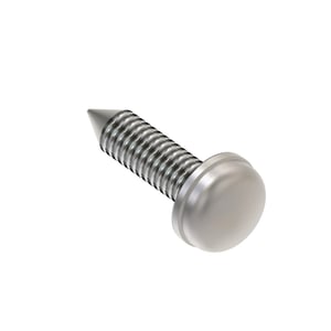 Screw With Washer