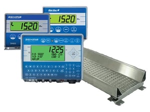 Image of ALLEYWAY SCALE SYSTEM