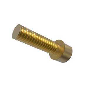 Screw