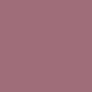 Image of 19367936