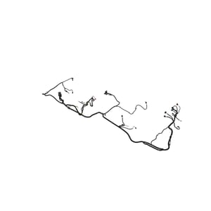 Image of AUC16401