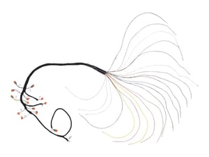 Image of 1001138588