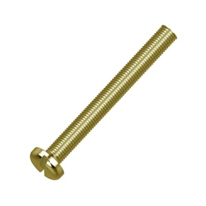 Screw